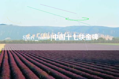 丹阳中国十七块金牌