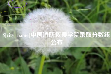 丹阳中国消防救援学院录取分数线公布