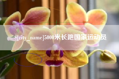 丹阳5000米长跑国家运动员