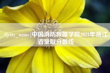 丹阳中国消防救援学院2021年浙江省录取分数线