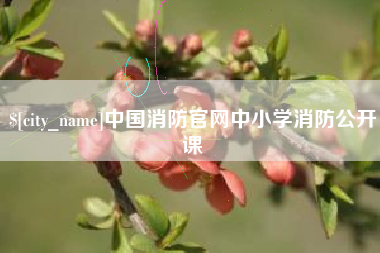 丹阳中国消防官网中小学消防公开课