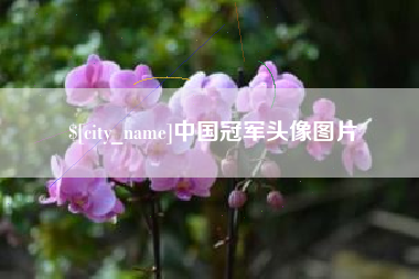 丹阳中国冠军头像图片