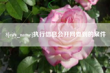 丹阳执行信息公开网查到的案件