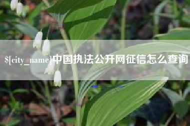 丹阳中国执法公开网征信怎么查询