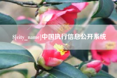丹阳中国执行信息公开系统