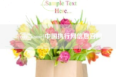 丹阳中国执行网信息官网