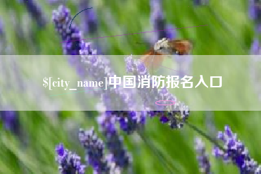 丹阳中国消防报名入口