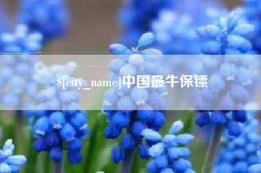 丹阳中国最牛保镖