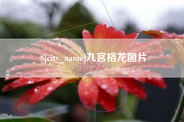 丹阳九宫格龙图片