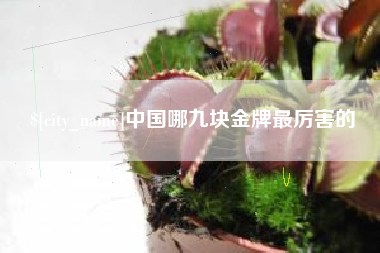 丹阳中国哪九块金牌最厉害的