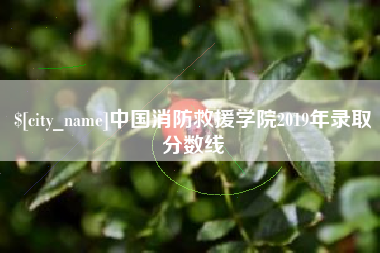 丹阳中国消防救援学院2019年录取分数线