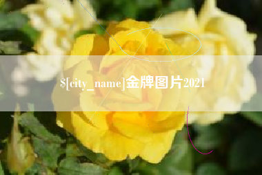 丹阳金牌图片2021