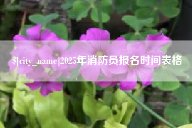 丹阳2025年消防员报名时间表格