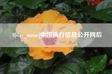 丹阳中国执行信息公开网后