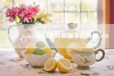 丹阳中国消防救援学院分数2020