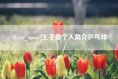 丹阳王子豪个人简介乒乓球