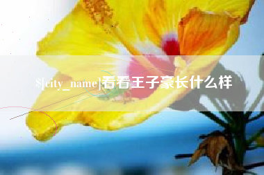 丹阳看看王子豪长什么样