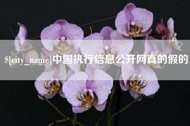 丹阳中国执行信息公开网真的假的