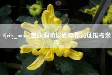 丹阳重庆消防设施操作员证报考条件