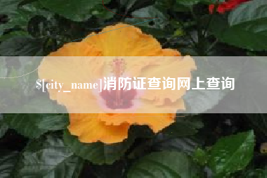 丹阳消防证查询网上查询