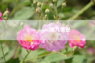 丹阳第九金是