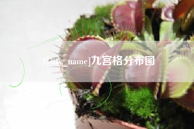 丹阳九宫格分布图