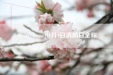 丹阳11月9日消防日全称