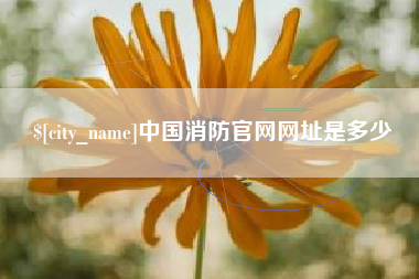 丹阳中国消防官网网址是多少