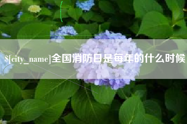 丹阳全国消防日是每年的什么时候