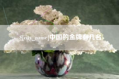 丹阳中国的金牌有几名
