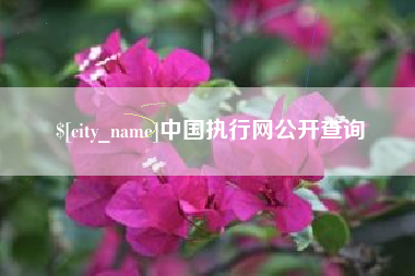 丹阳中国执行网公开查询