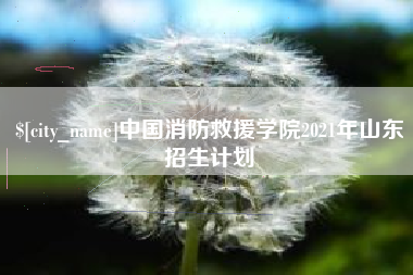 丹阳中国消防救援学院2021年山东招生计划