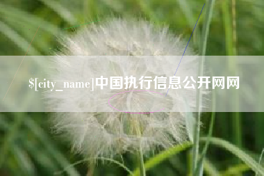 丹阳中国执行信息公开网网