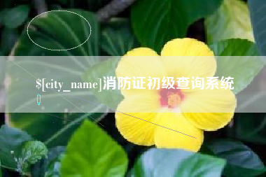 丹阳消防证初级查询系统