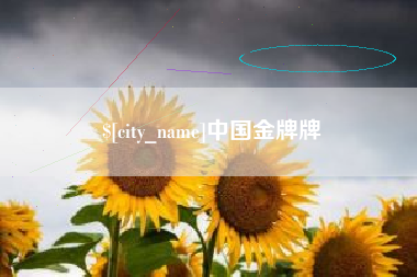 丹阳中国金牌牌