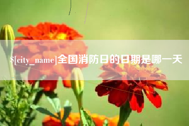丹阳全国消防日的日期是哪一天
