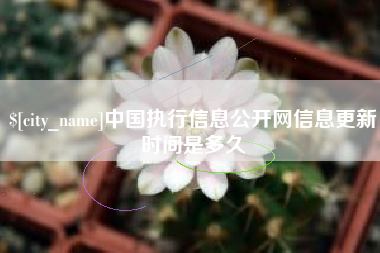 丹阳中国执行信息公开网信息更新时间是多久