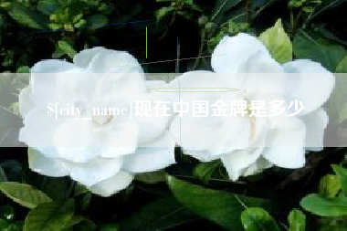 丹阳现在中国金牌是多少