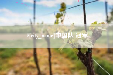 丹阳中国队 冠军
