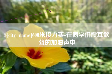 丹阳600米接力赛-在同学们震耳欲聋的加油声中