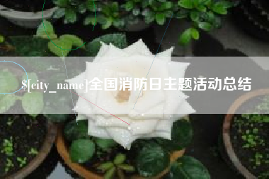 丹阳全国消防日主题活动总结