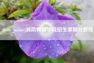 丹阳消防救援学院招生录取分数线