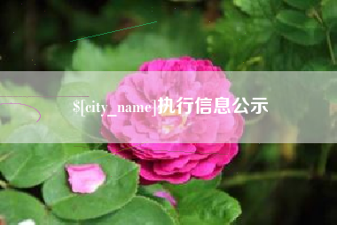 丹阳执行信息公示