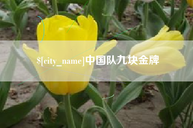 丹阳中国队九块金牌