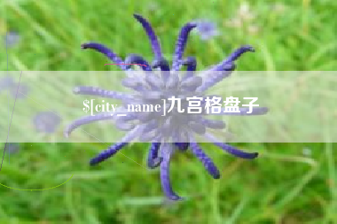 丹阳九宫格盘子