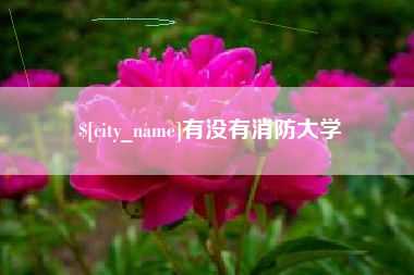 丹阳有没有消防大学
