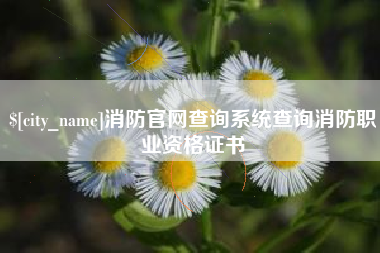 丹阳消防官网查询系统查询消防职业资格证书