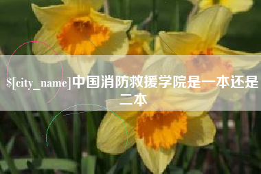 丹阳中国消防救援学院是一本还是二本