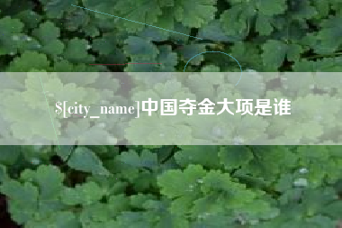 丹阳中国夺金大项是谁