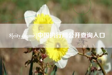丹阳中国执行网公开查询入口